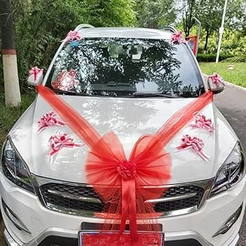 Wedding Car Decoration